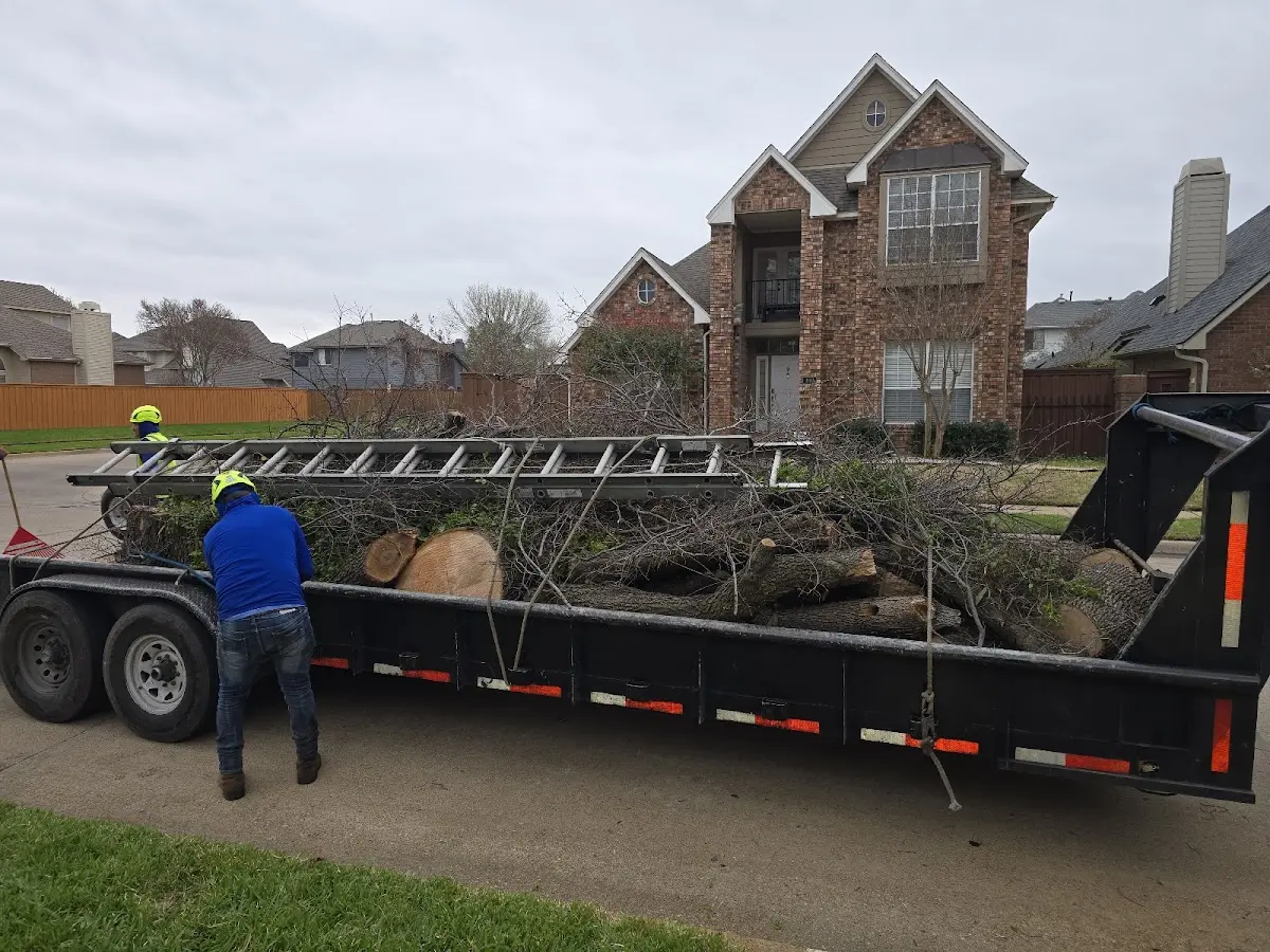 Expert Lot Clearing with proper safety equipment in Eckley